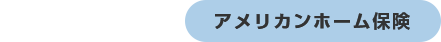 アメリカンホーム保険