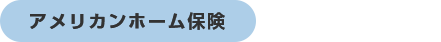 アメリカンホーム保険